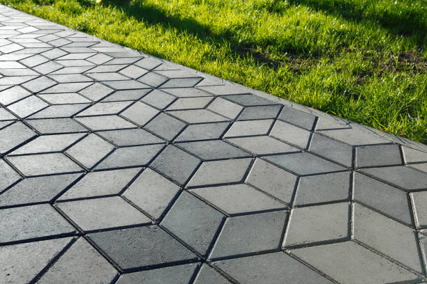 Best Interlocking Driveway Pavers  in Dagsboro, DE