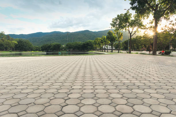 Best Concrete Paver Driveway  in Dagsboro, DE