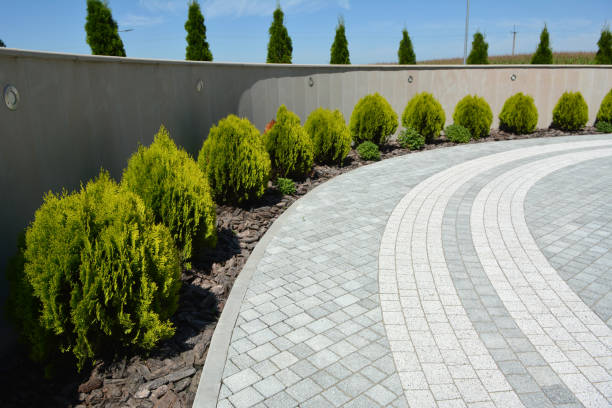 Best Driveway Pavers Near Me  in Dagsboro, DE